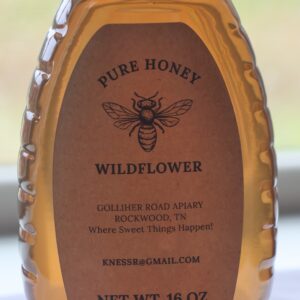 Bottled Raw Honey - 16 Ounce - Queenline Glass